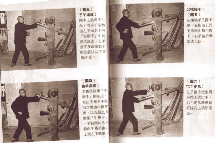 Wooden Dummy.Choy Li Fut. Ho Ngu.1
