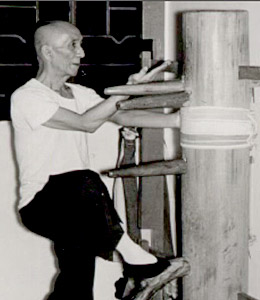 Wooden Dummy.Ip Man