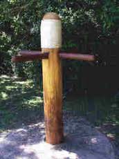 wooden dummy.planted.bagua
