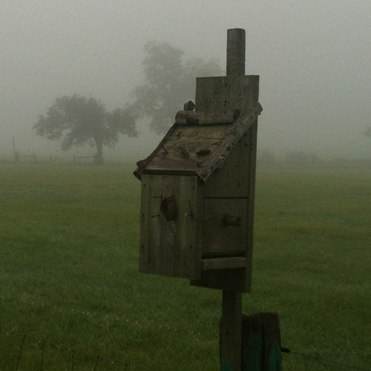Forlorn birdhouse on a misty fall morning. Genesee Valley, Western NY. Source: Photo by Benjamin Judkins.