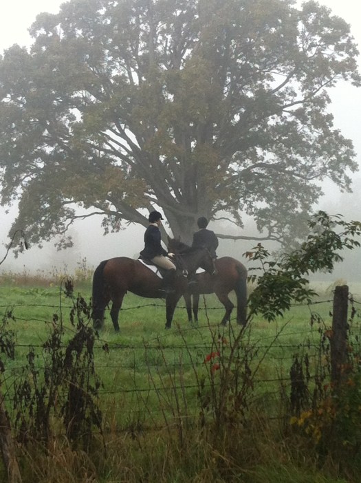 Two riders from the Genesee Valley Hunt (the oldest Foxhunt in North America) on a misty fall morning.  Source: Photo by Benjamin Judkins.  Author's personal collection.