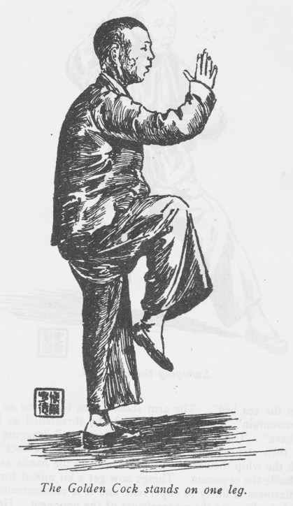 Taiji Boxer.  Source: Burkhardt, 1953.