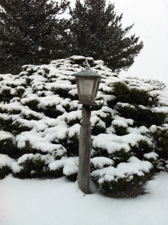 Christmas Eve snowfall in the Genesee Valley.  Source: Photo by Benjamin Judkins.  Authors Personal Collection.