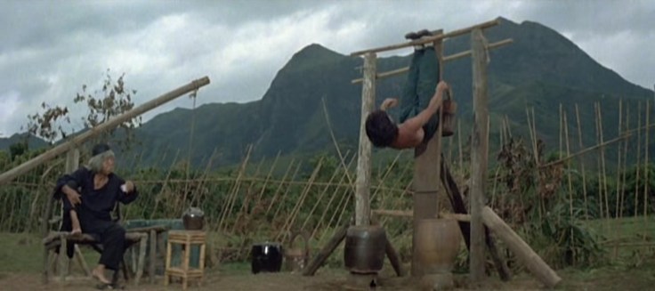 A scene from the epic (and very funny) training montage that helped to popularize Drunken Master with audiences.