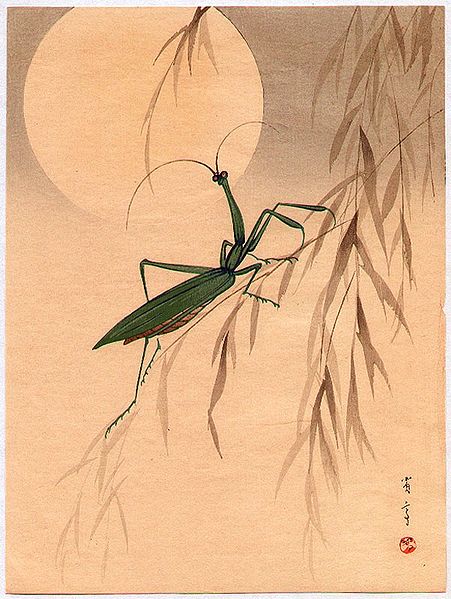 Mantis by Watanabe Shotei (1851-1918).  Source: Wikimedia.