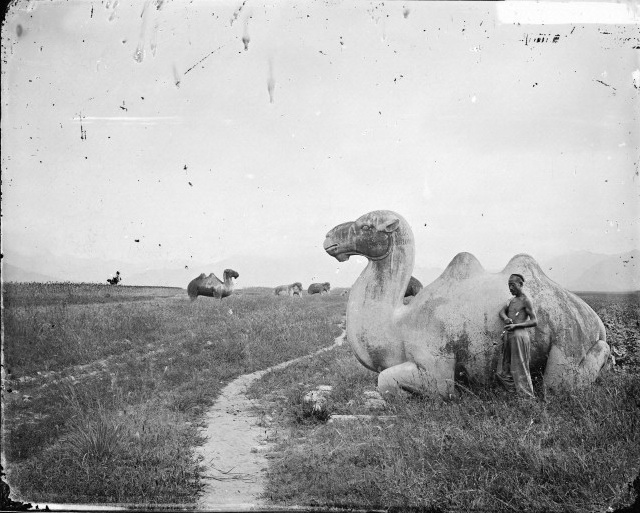 Vintage Postcard showing the approach to the Ming Tombs.