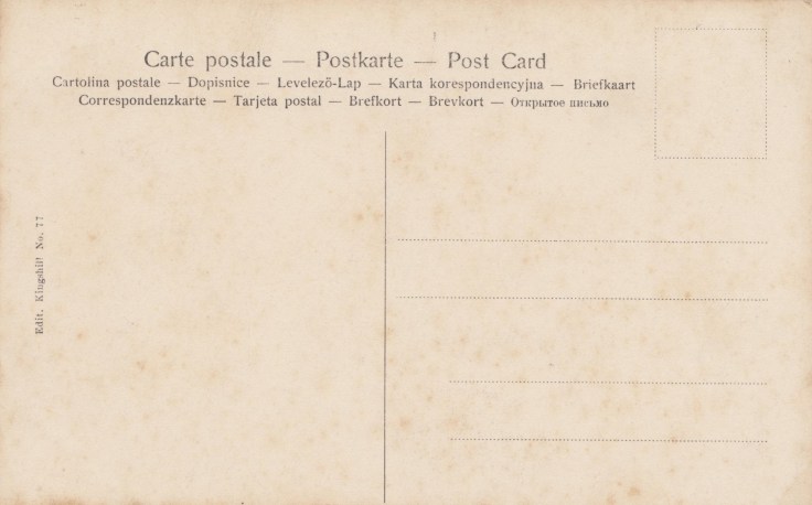 Chinese Challenger.back