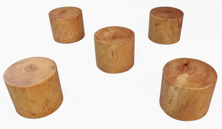  Buick Yip - Mui Fa Jong. Source: Everything Wing Chun