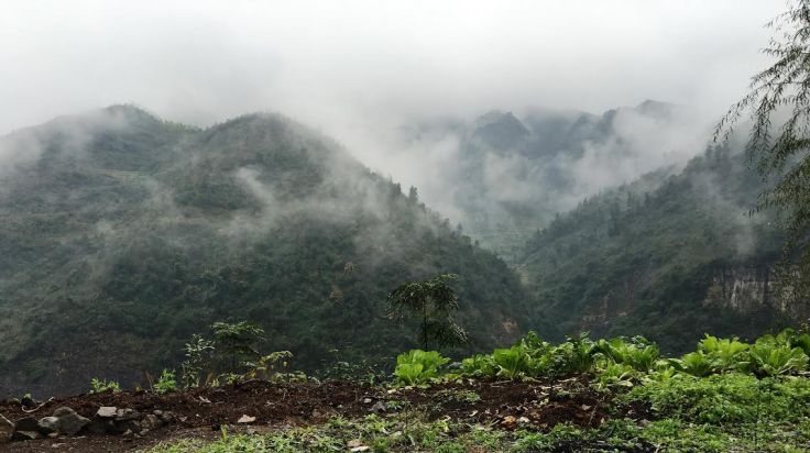 A lush hillside.  Source: From the private collection of Thomas A. Green.