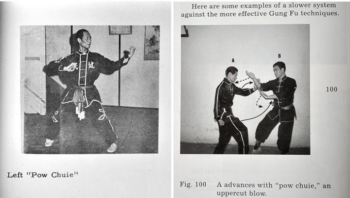  In a later section of Chinese Gung Fu, Bruce and James give "examples of a slower system against the more effective Gung Fu technique." This shows Bruce dismantling James as he attempts specific techniques from TY Wong's first book. 