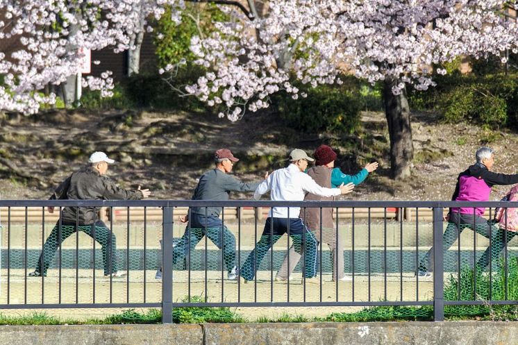 Taijiquan practitioners by M. Louis. Source: Wikimedia.