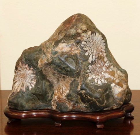 A Viewing Stone.  Source: Valavanis Bonsai Blog.