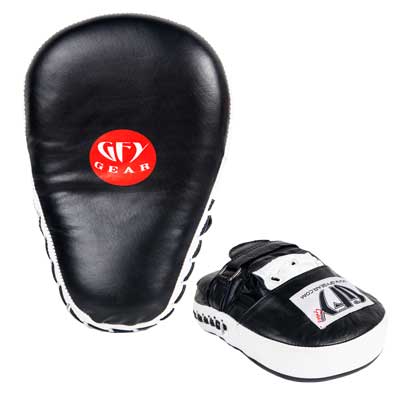 Focus Mitts.  Source: https://www.tigerclaw.com/